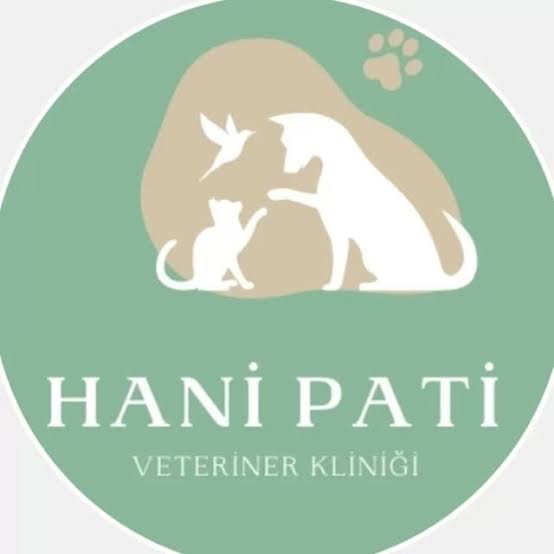 Derince’nin Can Dostlarına Şefkat Eli: Hani Pati Veteriner Kliniği